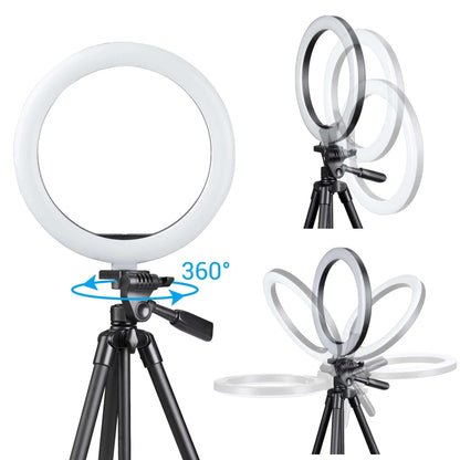 10'' Ring Light Designed for Content Creators - W/Phone Mount, LED Dimmable, 360° Adjustable Lighting 